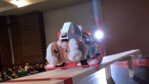 疾走する「とっとこCerbemol」